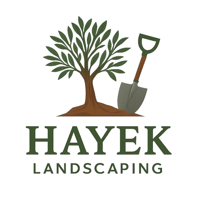Hayek logo